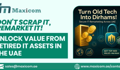 WhatsApp Image 2025 04 30 at 11.46.50