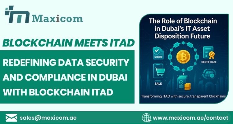 WhatsApp Image 2025 06 04 at 14.38.09